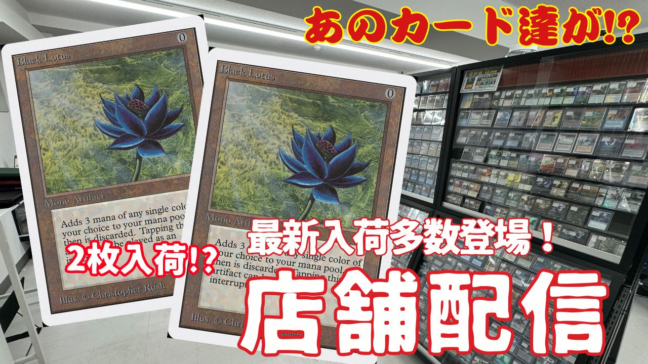 MTG ミラージュ アンコモン　 全110種中100種　102枚　 まとめ売り 開封大好き】高額スターター『ミラージュ』を開封【MTG】 - YouTube