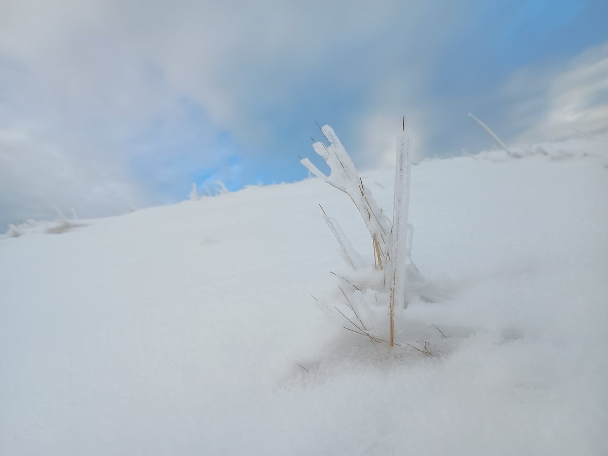 Christo70300025's tweet image. One more push and we should be at the top of #blacker hill,crowden  Manchester 😊💚🌲🌳🌱