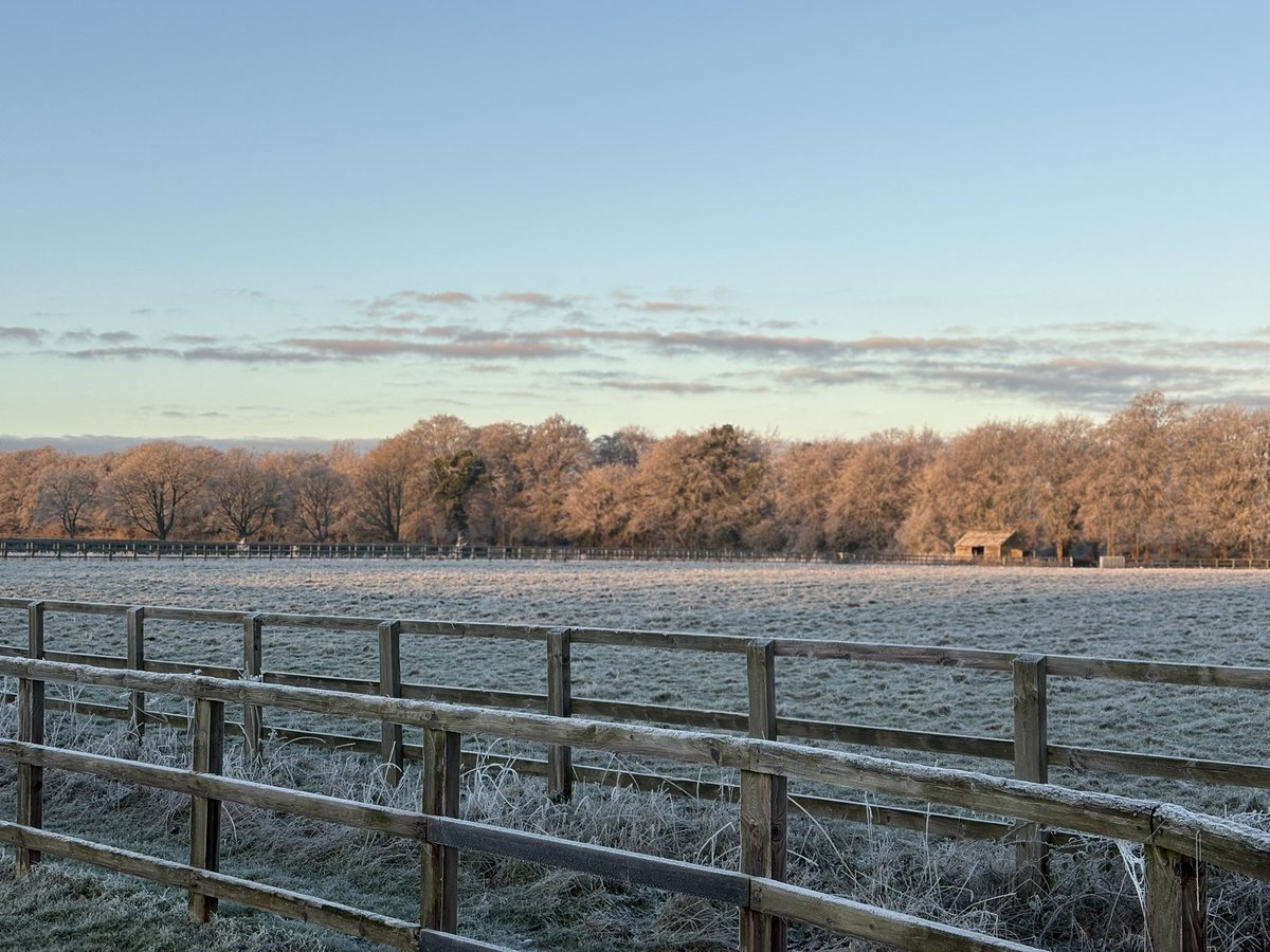 Dav1dOLeary's tweet photo. -6 first one of the year. #walkwithcharlie @NewmarketRace freezing but stunning! 🥶✨💫 https://t.co/9QfXlh5tFh