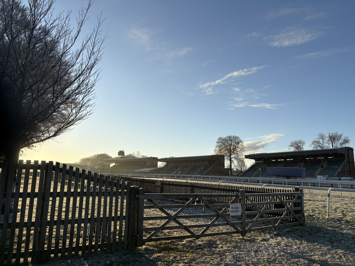 Dav1dOLeary's tweet photo. -6 first one of the year. #walkwithcharlie @NewmarketRace freezing but stunning! 🥶✨💫 https://t.co/9QfXlh5tFh