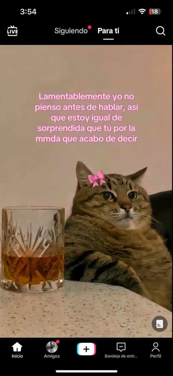mareita__'s tweet photo. https://t.co/IWBW59fUvn