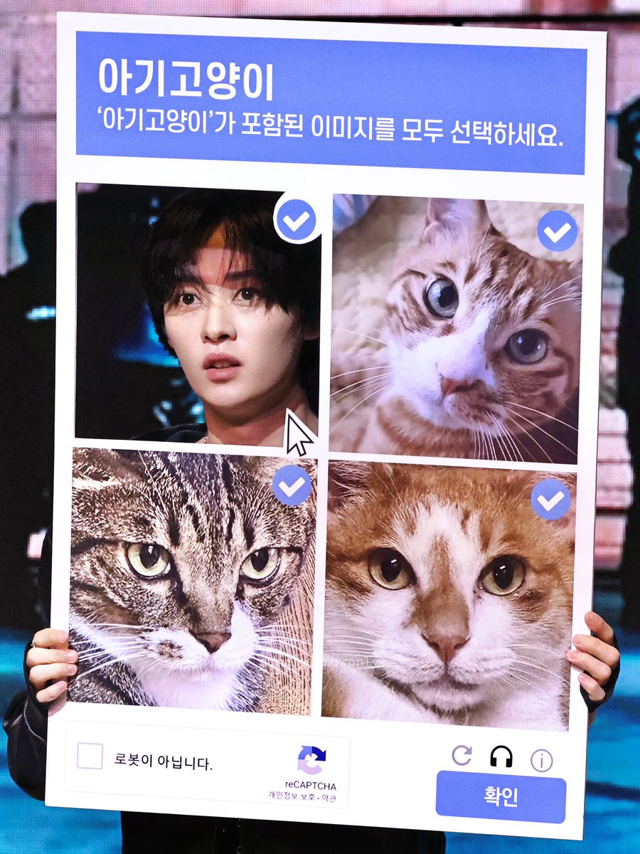 ᓀ‸ᓂ tweet media