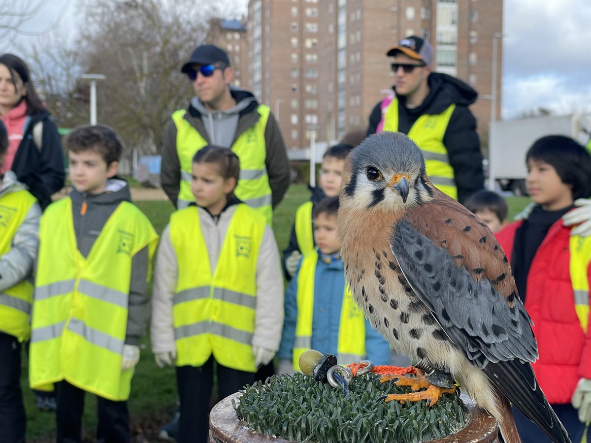 Fundación Oxígeno tweet media