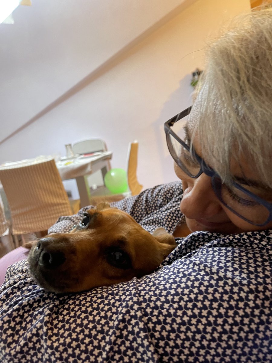 GallozziMrita's tweet photo. Se cerchi un tesoro
devi cercarlo nei posti meno visibili,
non cercarlo nelle parole della gente,
troveresti solo vento.
Cercalo in fondo all'anima di chi
sa parlare con soli silenzi.
Alda Merini
Ciao Lula ❤️ ora vai a passeggio senza di me #lulaforever #canetta https://t.co/CTbMItB2lE