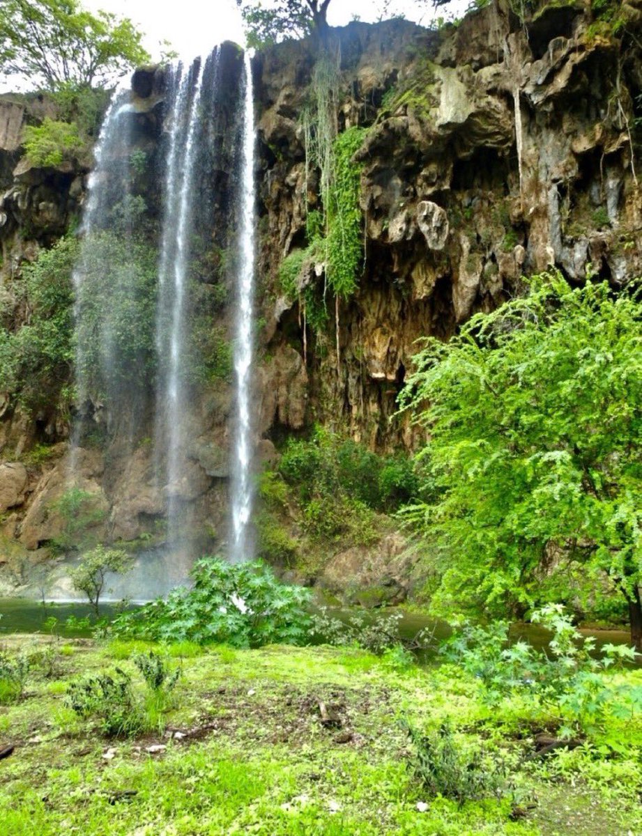 لا يؤخر الله أمراً إلا لخير،
ولا يحرمك أمراً إلا لخير،
ولا ينزل عليك بلاءً إلا لخير،
فلا تحزن، فـ رب الخير لا يأتي إلا بخير

#مساء__الخير
