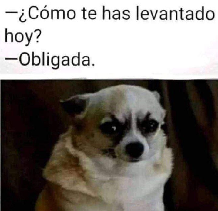 ymuchosmemes's tweet photo. https://t.co/iHlXdYQfxV
