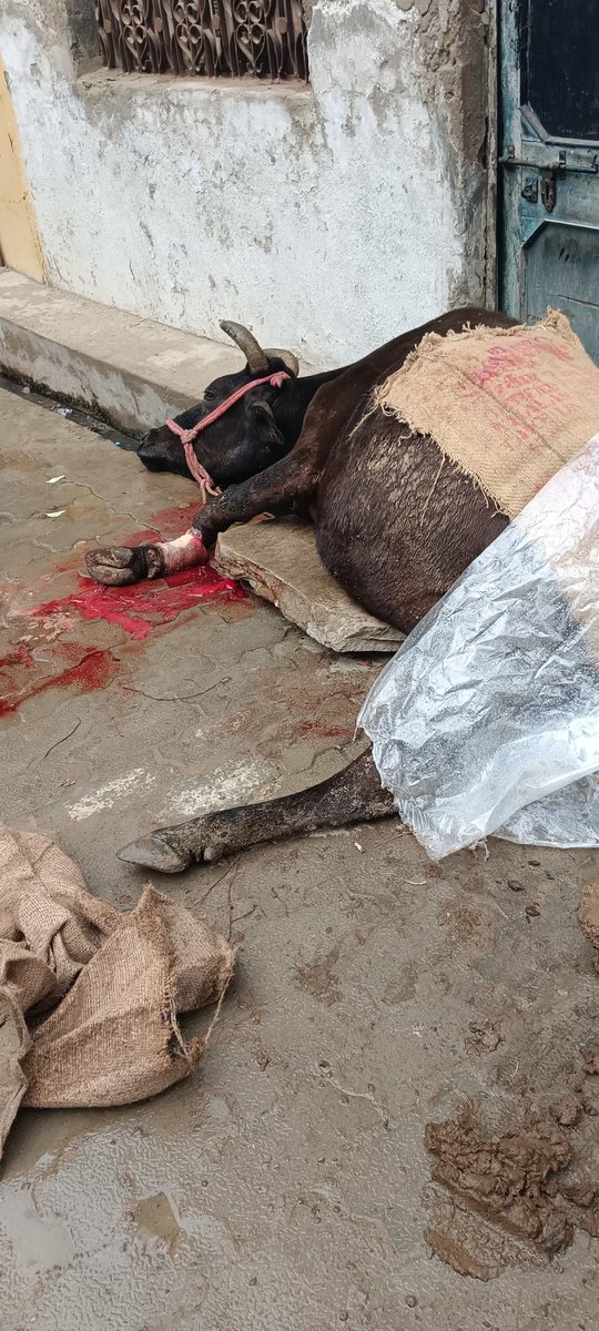 Bhulai ka purva prayagraj support needed contact number +91 99562 48391 <a href="/CMOfficeUP/">CM Office, GoUP</a> <a href="/CommissionerPrg/">Commissioner Prayagraj</a> <a href="/DM_PRAYAGRAJ/">DM Prayagraj</a>