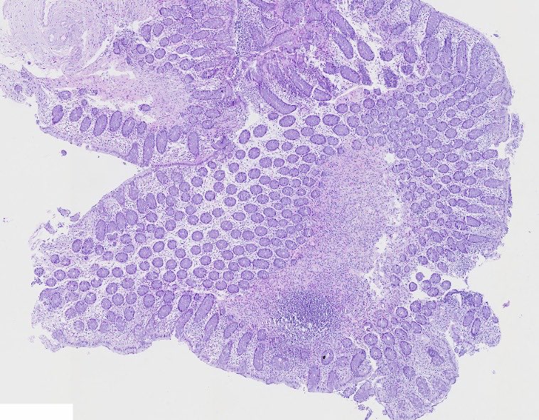 Begüm, MD tweet media