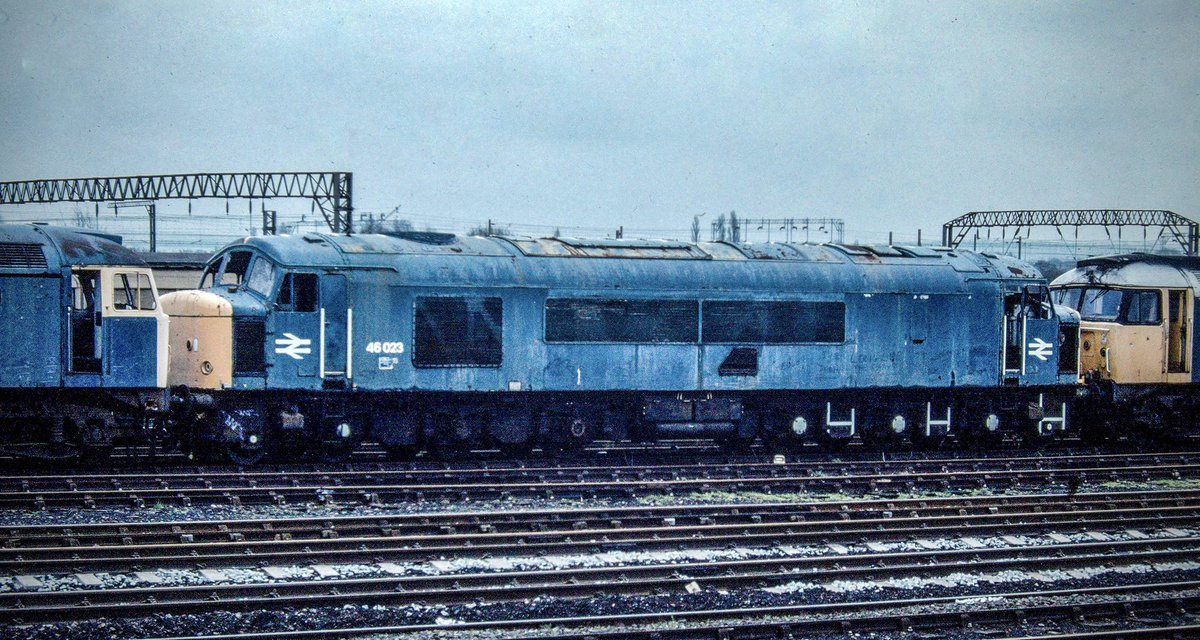 miles_chains's tweet image. Looking washed out, its useful life over, and awaiting the cutters torch. 46023 Awaits its fate with other withdrawn locos at Crewe Basford Hall sidings. Withdrawn in 1983, a mere 21 years old, the end finally came in 1995.
#Class46 #Peak #BritishRail #Crewe #BasfordHall