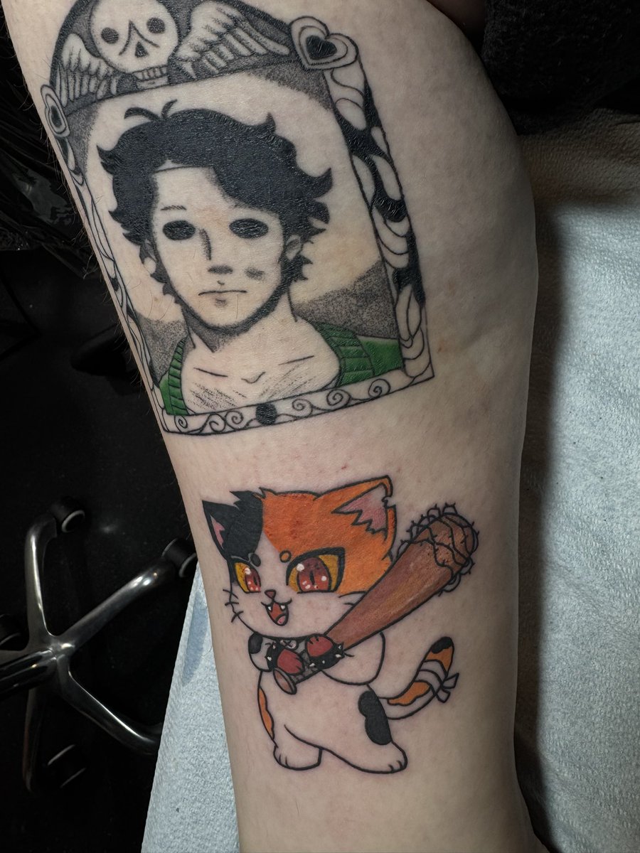 LankaKitten's tweet photo. This is Cricket. They are @noxxxiousart’s and now they’re mine. https://t.co/VRXTaypodt