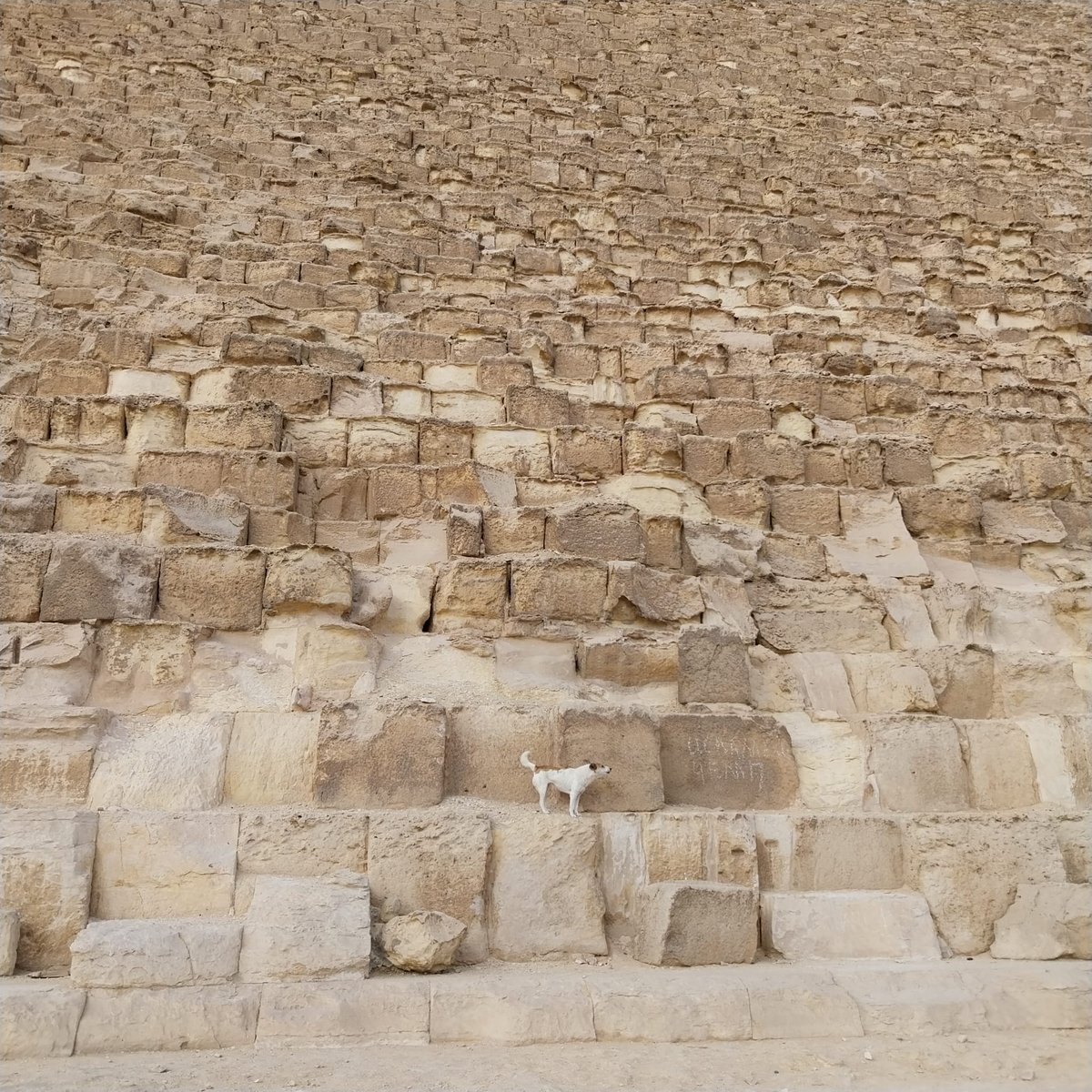 Garry Merrifield tweet media