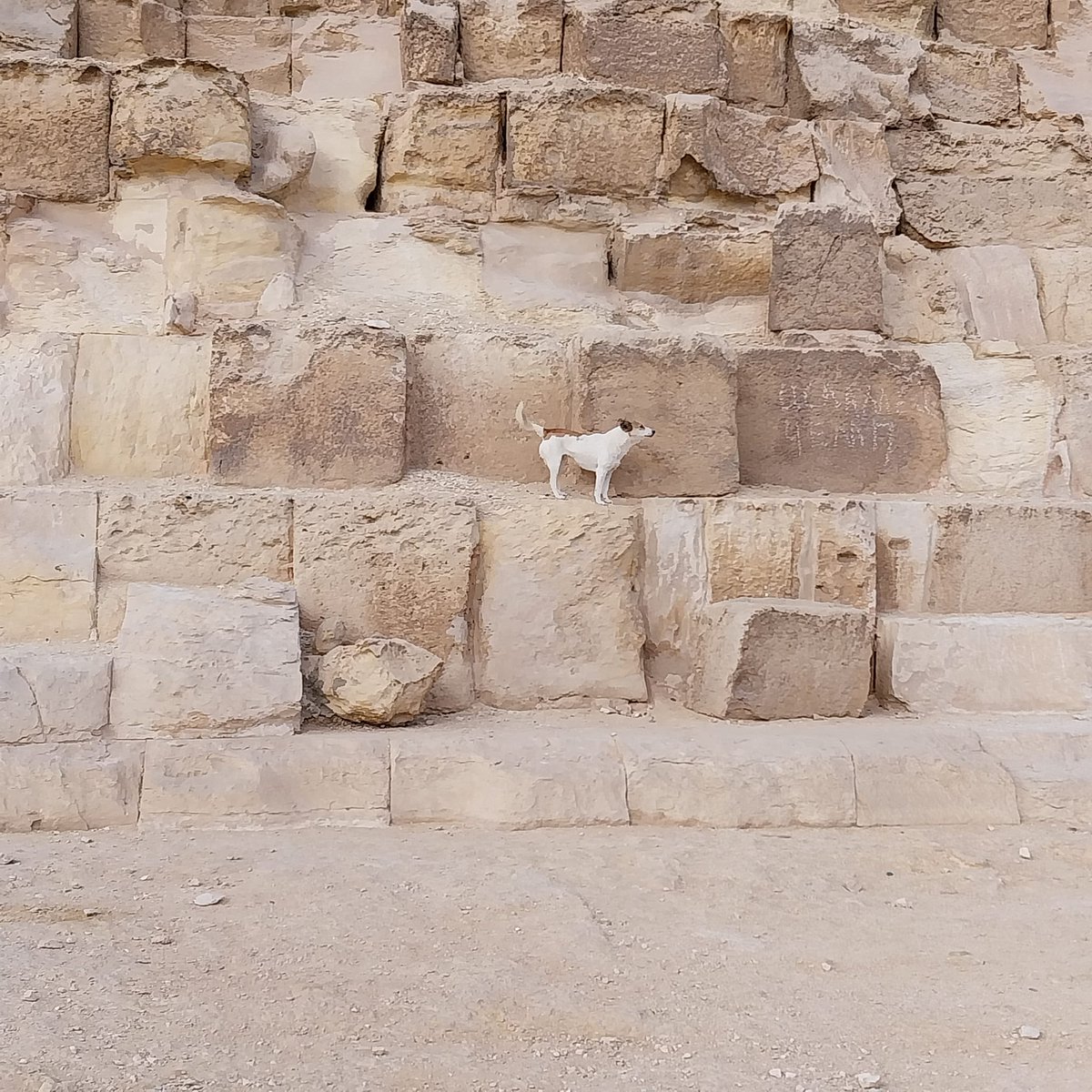 Garry Merrifield tweet media