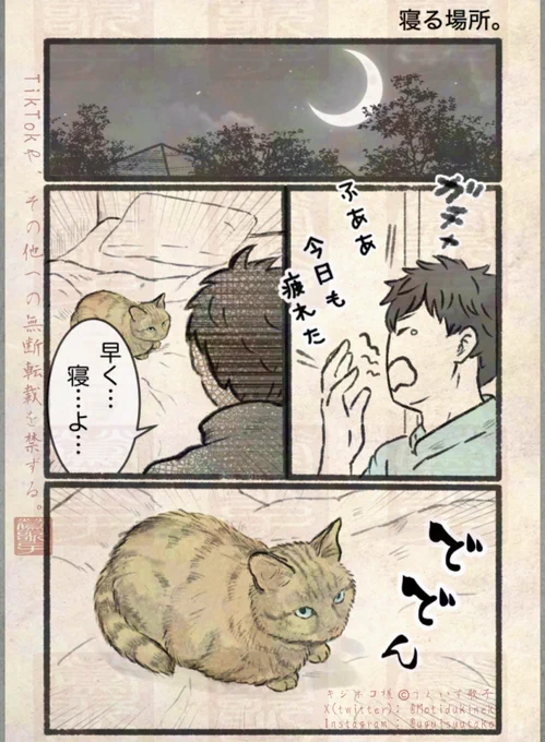 ネコマンガ。まとーめ。その六。 