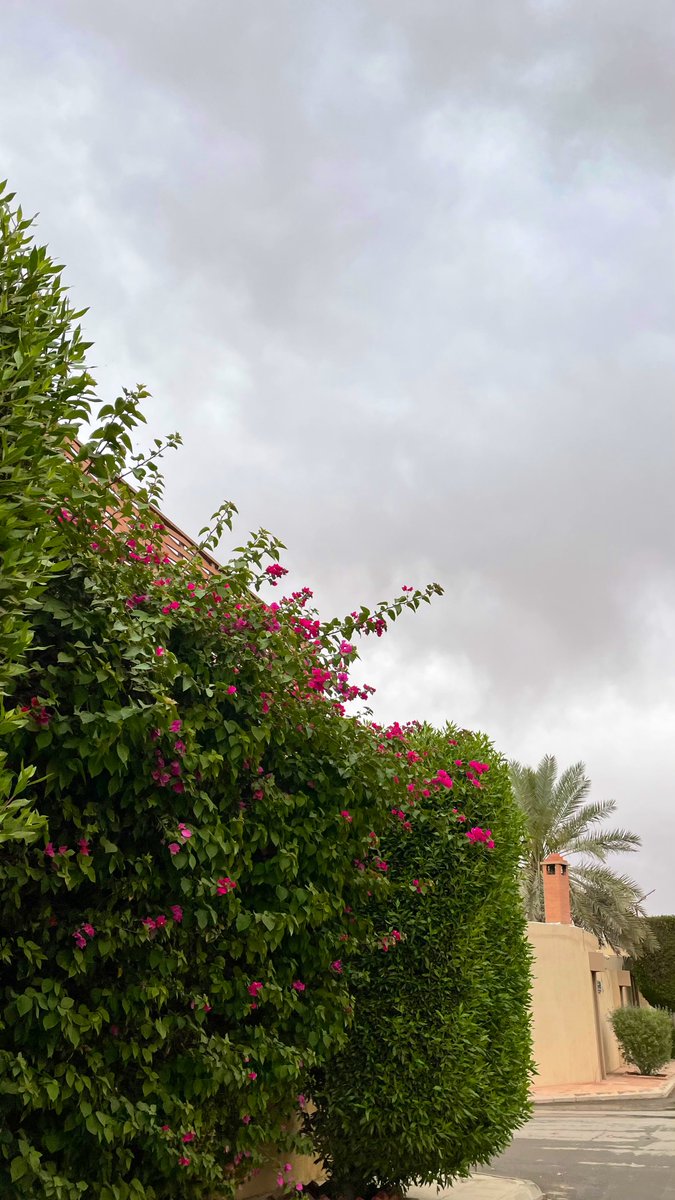 عزيز تقني tweet media