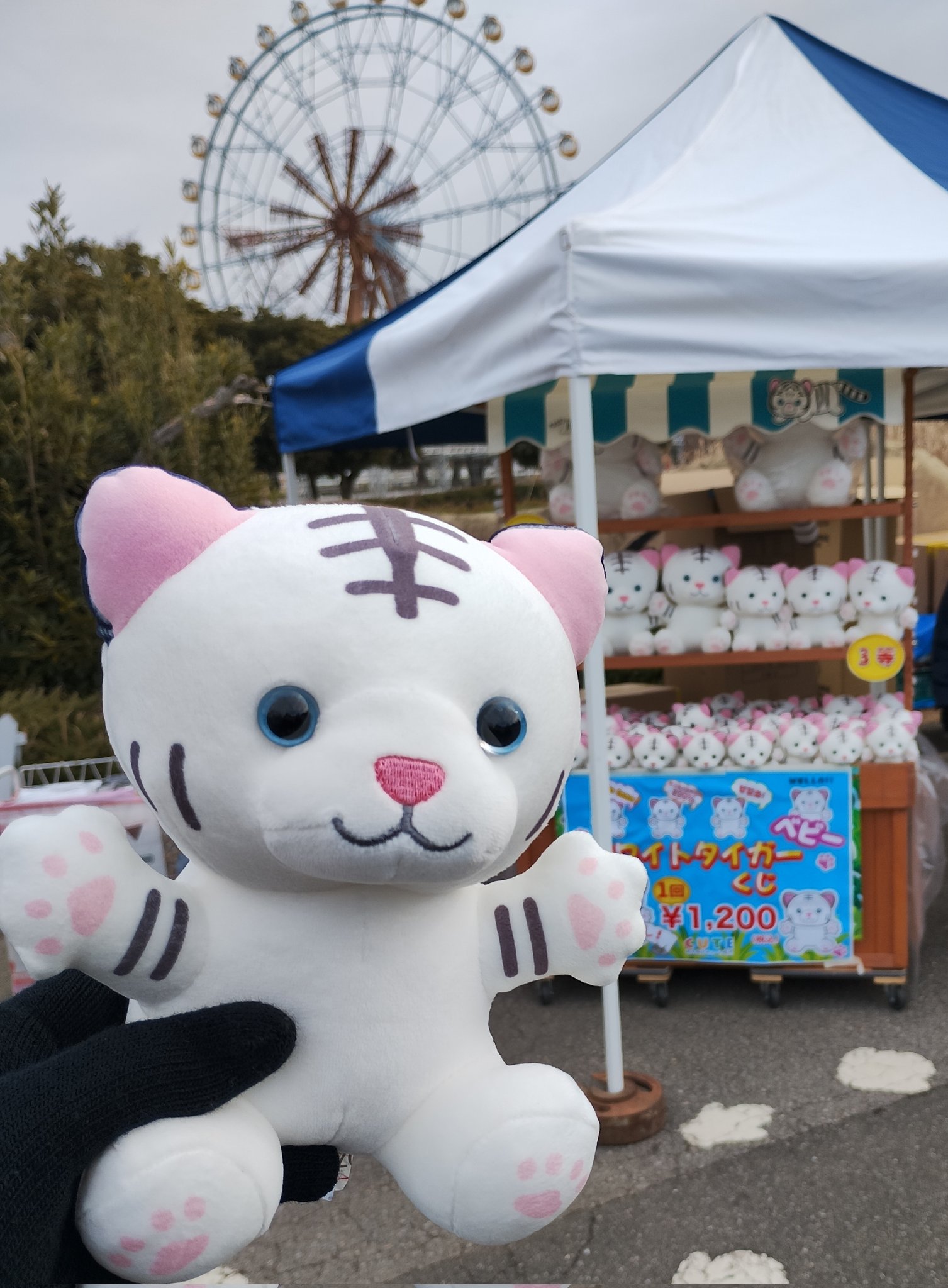 東武動物公園ホワイトタイガークジ Amazon.co.jp: 東武動物公園 くじ アミューズメント景品