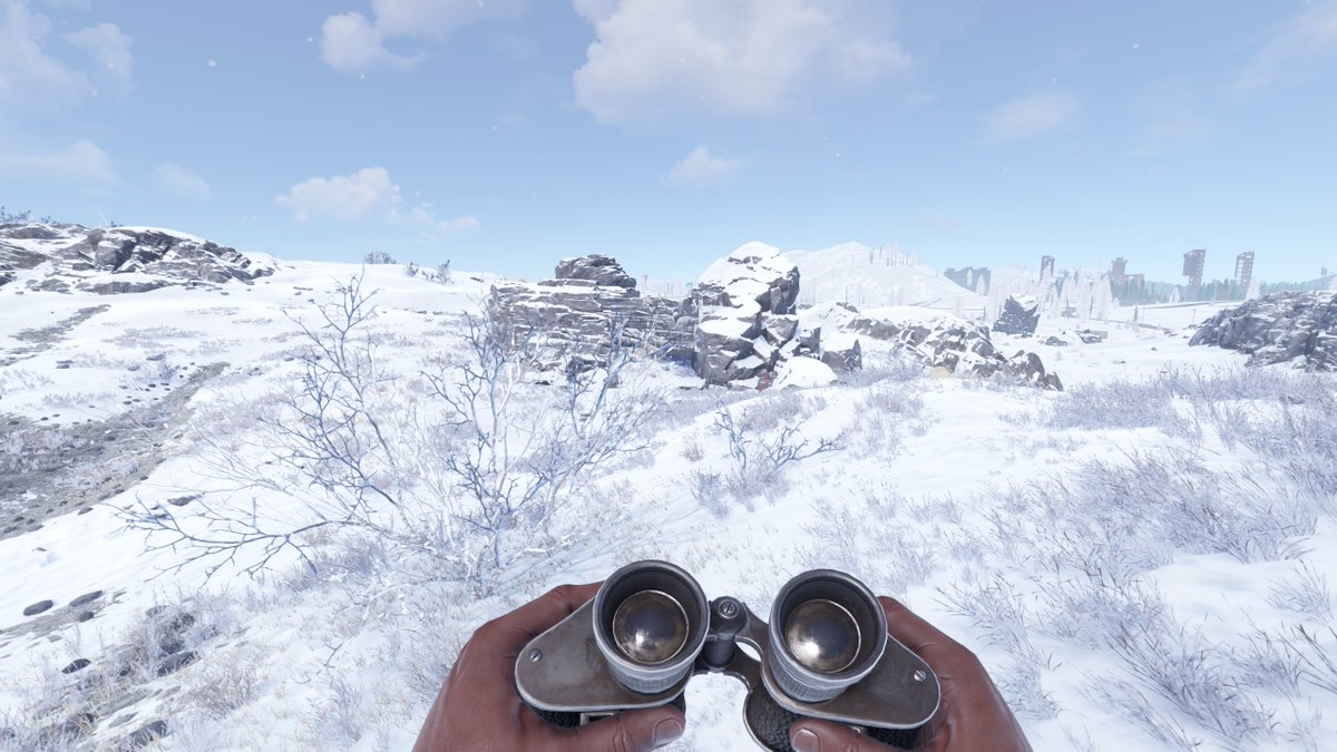 Monstera tweet media