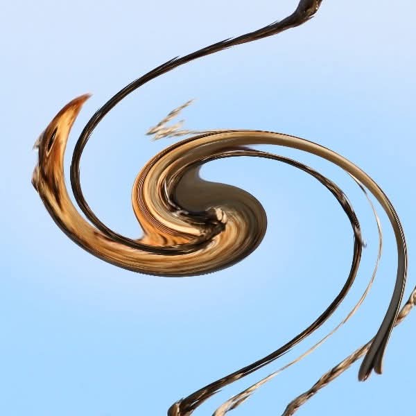 British Birds tweet media