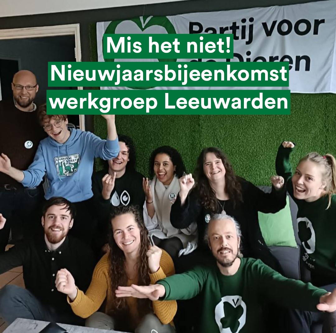 🙌 Kom jij volgende week zondag ook samen met #PvdD-werkgroep #Leeuwarden het nieuwe jaar starten? Met een hapje, een drankje en gezelligheid  🥳

🗓️ zondag 19 januari
🕑 14.00-17.00u
📍 Jabixhûs, Vijverstraat 2, Leeuwarden

🙏 Je bent van 💚 welkom. En neem gerust iemand mee!