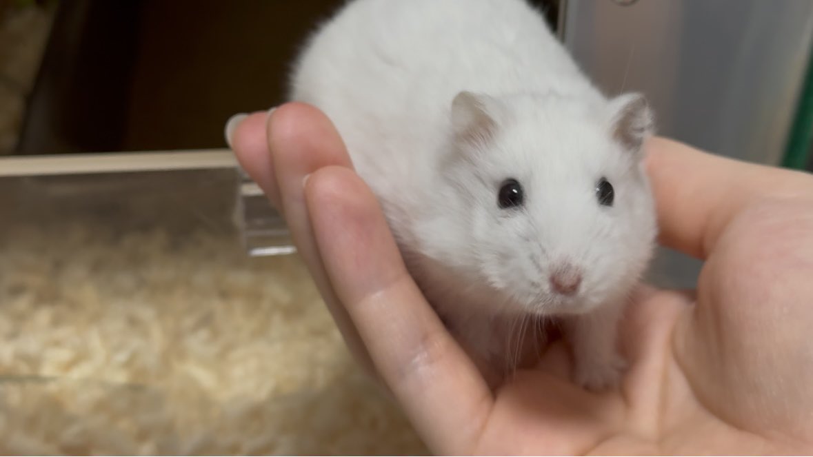 절대로 발목을 보면 안되..