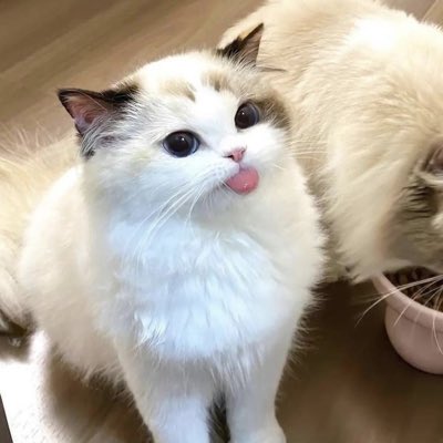 ichak29's tweet photo. #FotoProfilBaru https://t.co/0JdOvaV1ac