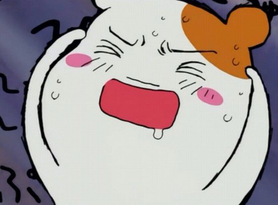 66_summer_'s tweet photo. 누나 내가 해찬이야 강아지야
                                                         해찬이
강아지잖아!!!
누나가 지금 날
강아지로 대하고있잖아

다시 한번 물어볼게
해찬이야 강아지야
                                                         강아지 
해찬이잖아!!!! https://t.co/PKZb54NTSg