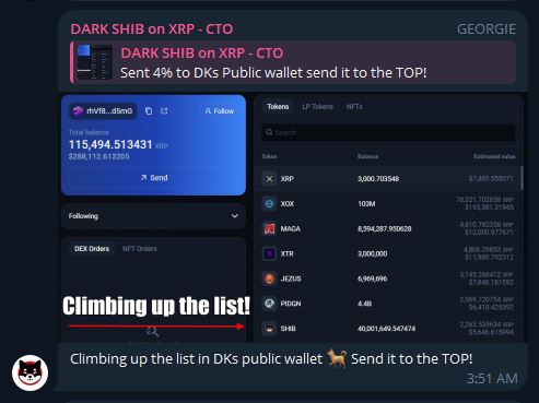 Climbing up the list in <a href="/DK64Trades/">߷</a> Public Wallet 💎
Chads only...DARK $SHIB on $XRP