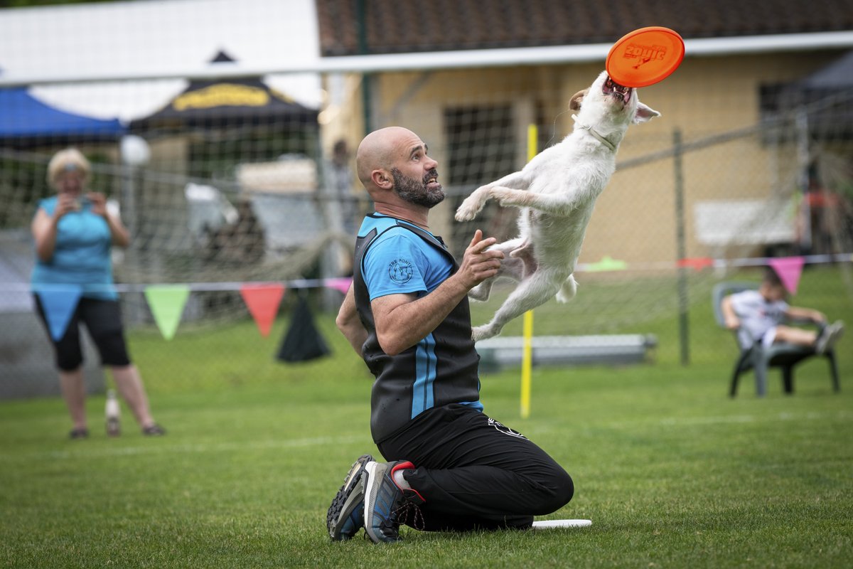 CollectifDr's tweet photo. Reportage “Le Disc dog, un sport de haut vol”
de Béatrice Prève à retrouver dans le livre photo DR#4 sur notre site internet [https://t.co/kLsj8izFrk ](https://t.co/kLsj8izFrk  "/linkBuilder_7HWVmDTCnUTieEw5hoP5KR") https://t.co/VNTxItWre6