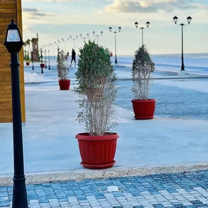 PantherPatient's tweet photo. Renovation of the park after 55 years in Sirte, Libya 🇱🇾
تجديد الحديقة بعد 55 عاما في سرت، ليبيا 😍
#LibyaIsBeautiful #ParkRenovation #SirtePark #Park #Sirte #Libya https://t.co/kuIXi5lobD