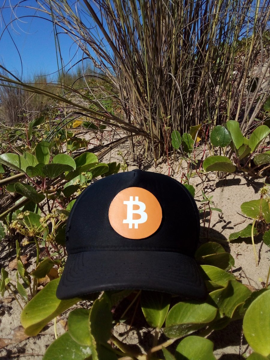 Colored Ape 🦍 tweet media