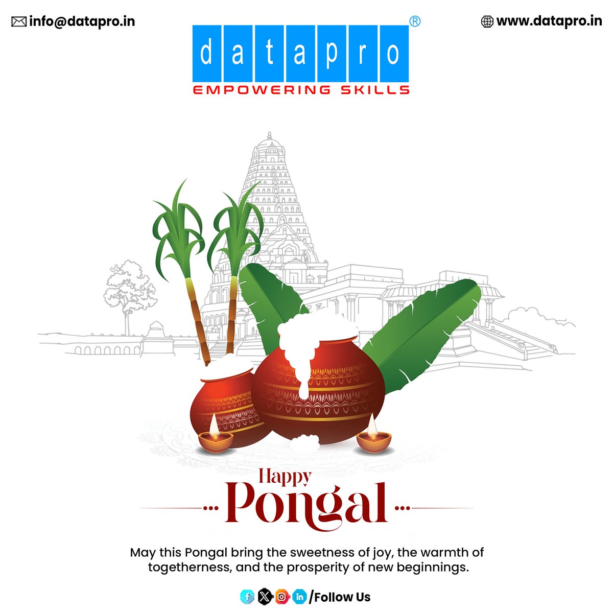 dataproofficial's tweet photo. Wishing you a joyful and prosperous Pongal!
May this festival fill your life with the sweetness of happiness, the warmth of togetherness, and the prosperity of fresh beginnings. 
🌟 Happy Pongal from Team Datapro! 🌟
#HappyPongal #PongalCelebrations #HarvestFestival #FestiveJoy https://t.co/kc126WNoVu