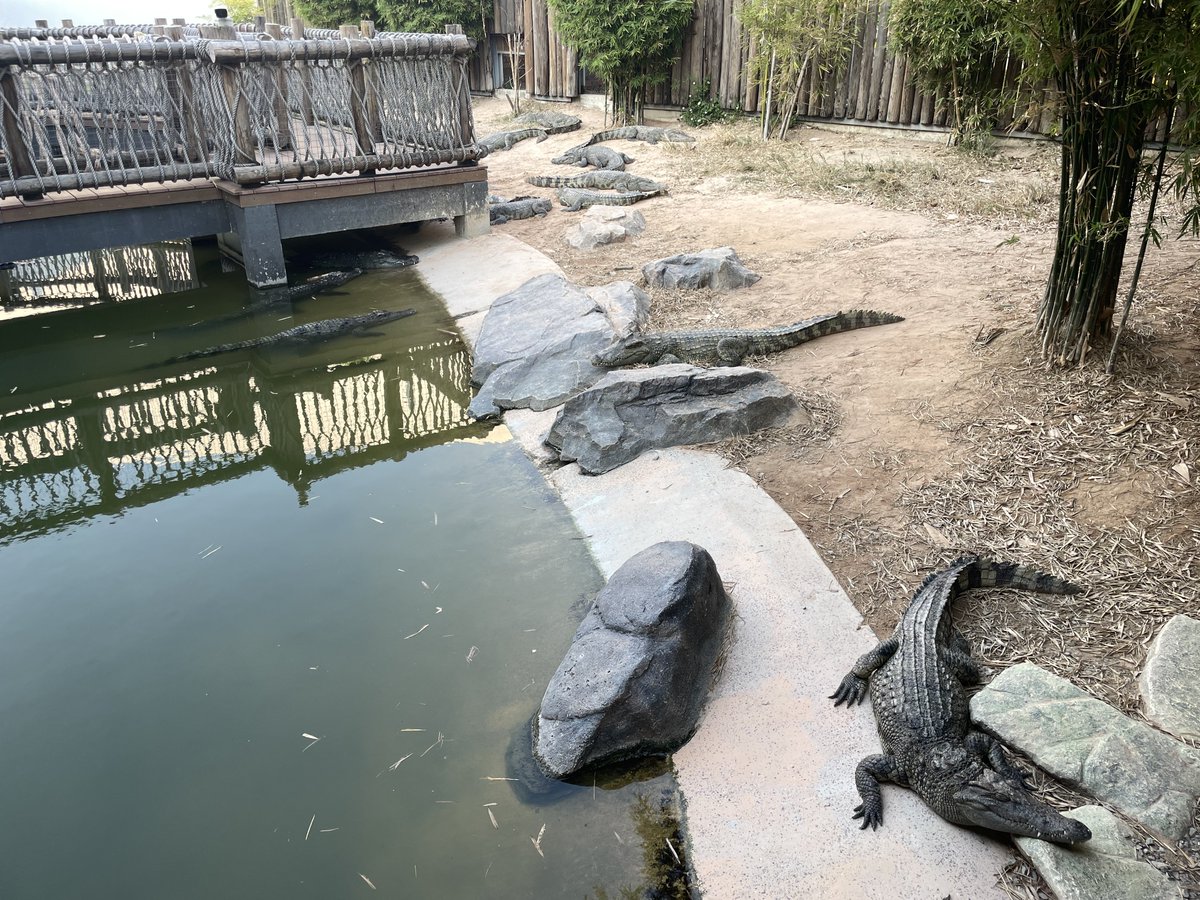 カンボジアの水族館併設の動物園がなかなか面白かった👍 