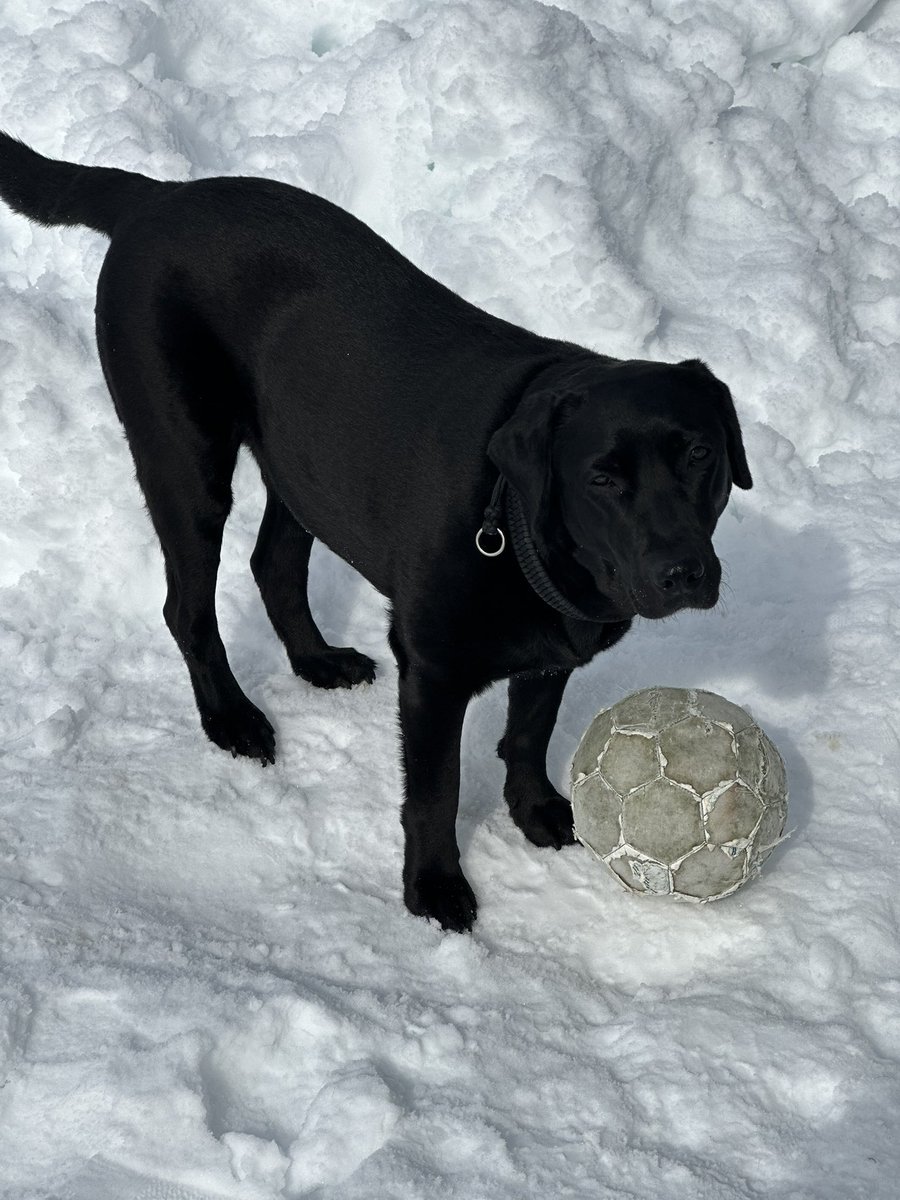 ボロボロなんですけどお気に入りだから…🥹
