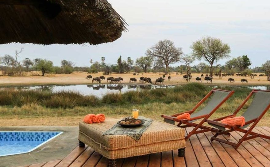 CurateZimbabwe's tweet photo. Imvelo Safari Lodge, located in Hwange National Park, Zimbabwe, offers an eco-friendly and immersive safari experience. Situated in a prime wildlife area, the lodge provides luxury tents and chalets designed to blend with nature. 

Guests can enjoy game drives, walking safaris, and unique activities like visiting an elephant sanctuary or spending the night under the stars. Imvelo is committed to conservation, partnering with local communities and organizations to protect wildlife and restore habitats. 

The lodge’s focus on sustainability ensures that visitors contribute to the preservation of this iconic park. With its exceptional service, stunning wildlife, and dedication to environmental responsibility, Imvelo Safari Lodge is a top choice for those seeking an unforgettable African adventure.

#Zimbabwe #Zimbabweans #VisitZimbabwe #Safari #HwangeNationalPark #Ecotourism 
#WildlifeWonders
#WildlifeConservation 

Copyright 
Photos courtesy of Imvelo Safari Lodge

https://t.co/Jn1tU7GTbS
@ImveloSafariLod