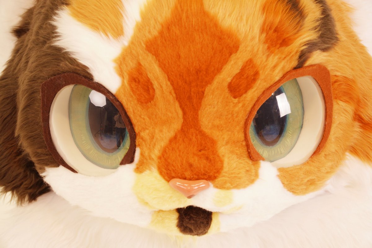 うちのにゃろが着ぐるみクリエイターズコンテストで芸術賞を取ってきました！！🏅
ほんとびっくり！
ありがとうございました！！！🍁🐱