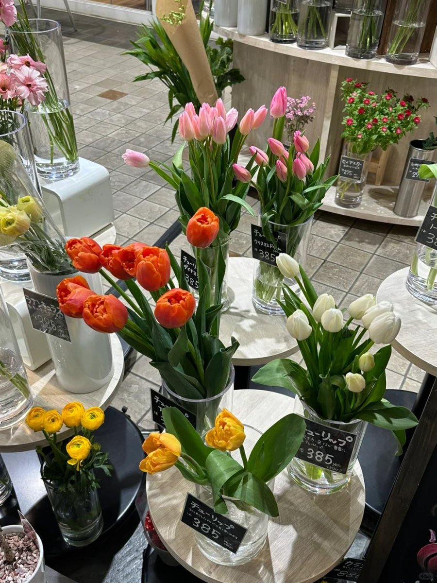 風の精霊 tweet media