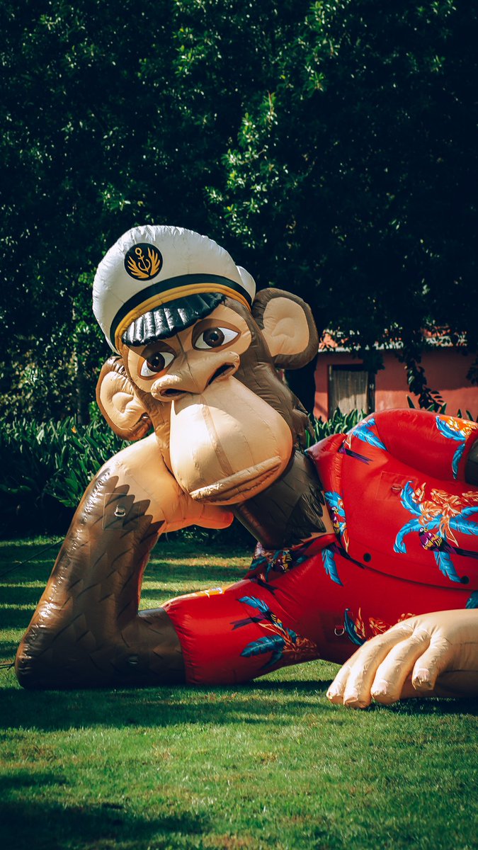 Grateful Ape🍌 tweet media