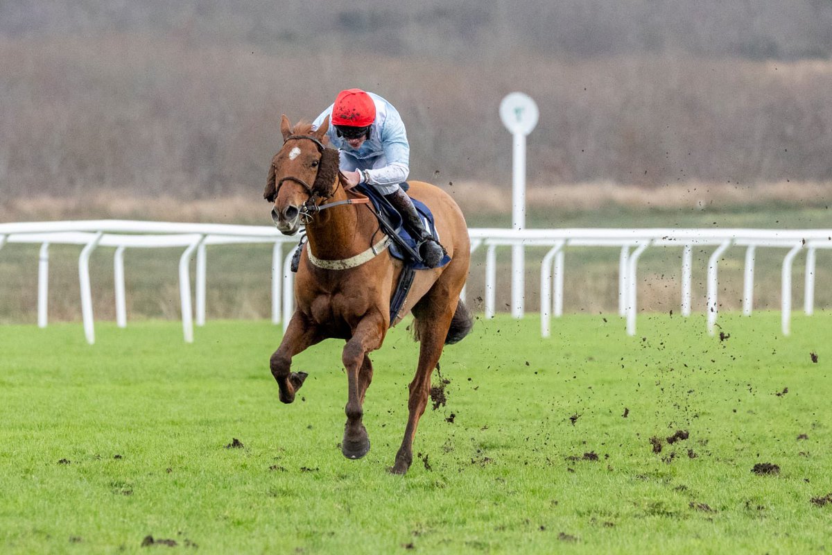 jamiesnowden's tweet photo. It was lovely to have a double on @itvracing @FfosLasRC yesterday as #DoubleClick won well under @willfeathers04 for @Foxtrot_Racing and #UpForParol won under @GavinSheehan92 Top effort team. @Alexwalters89 #winner no 36 & 37 for the season @BetVictorRacing https://t.co/tY6SntxUKi