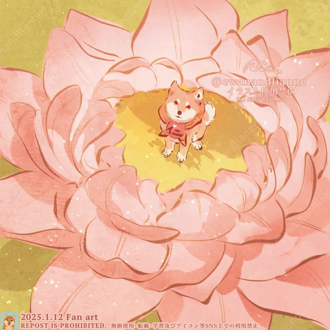 オハヨ 