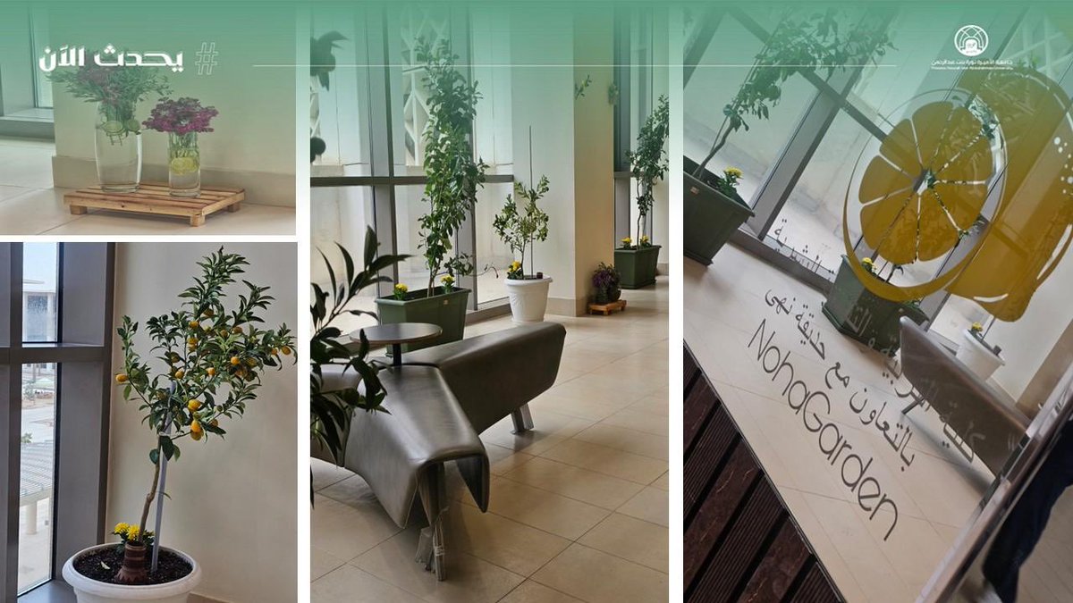 pnu_live's tweet photo. #يحدث_الآن:
تنظم كلية التربية والتنمية البشرية، ممثلة بقسم الطفولة المبكرة، فعالية مبادرة افتتاح ممر الليمون لدعم التربية الخضراء، بالتعاون مع خبيرة الزراعة أ. نهى البدر.
#جامعة_الأميرة_نورة
#PNU https://t.co/4j3sddAFoe