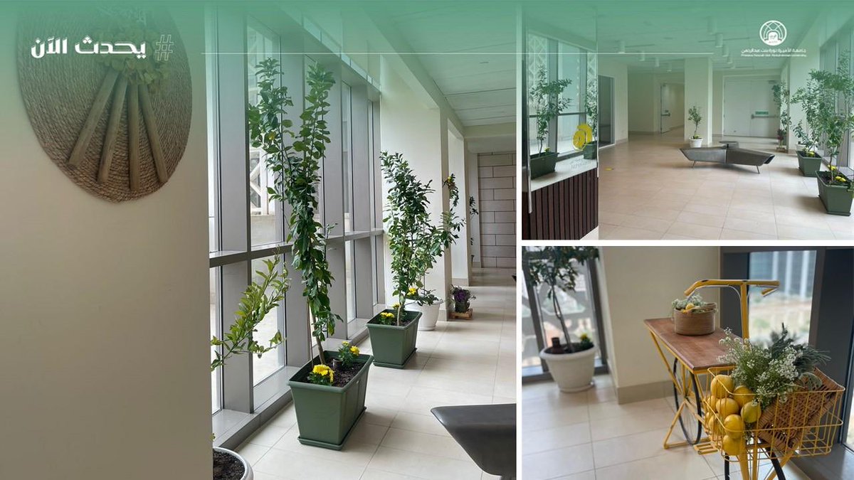 pnu_live's tweet photo. #يحدث_الآن:
تنظم كلية التربية والتنمية البشرية، ممثلة بقسم الطفولة المبكرة، فعالية مبادرة افتتاح ممر الليمون لدعم التربية الخضراء، بالتعاون مع خبيرة الزراعة أ. نهى البدر.
#جامعة_الأميرة_نورة
#PNU https://t.co/4j3sddAFoe