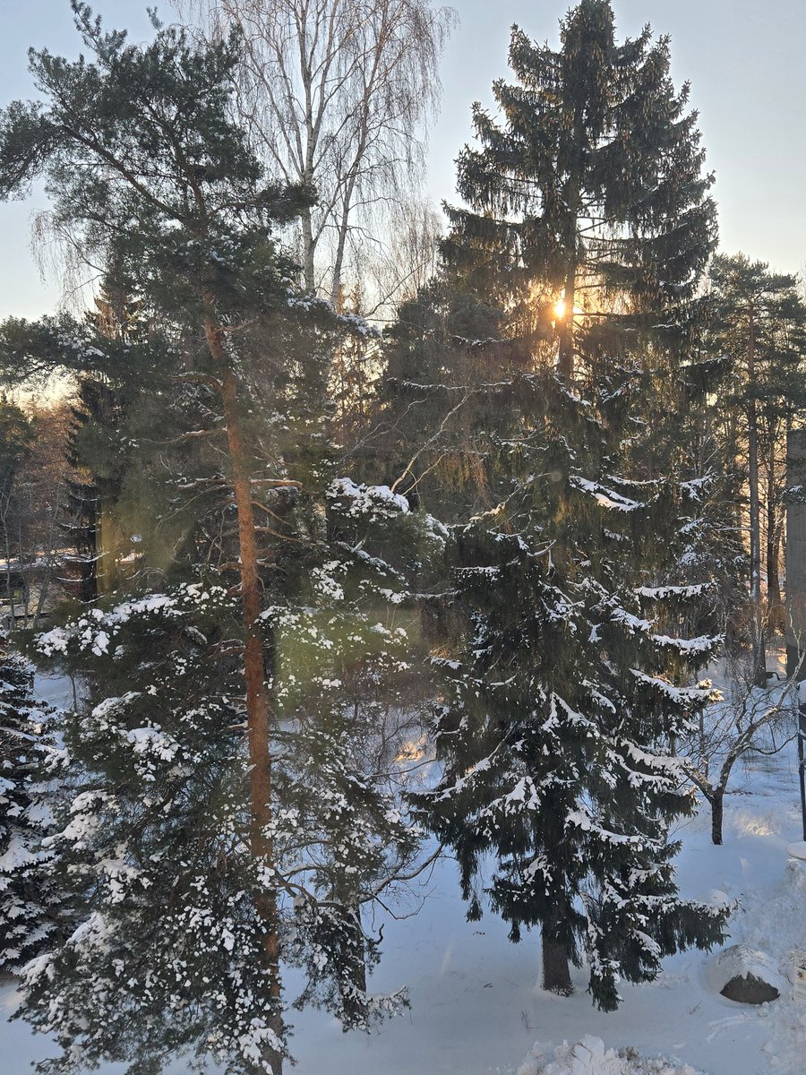 mkuijjer's tweet image. Not a bad view to work on the final touches of a grant ☀️❄️