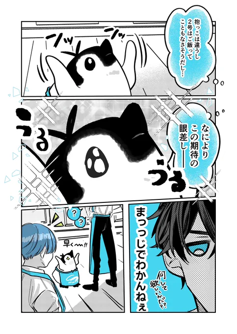 (2/6) 