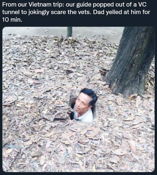 Shroom Hunter tweet media