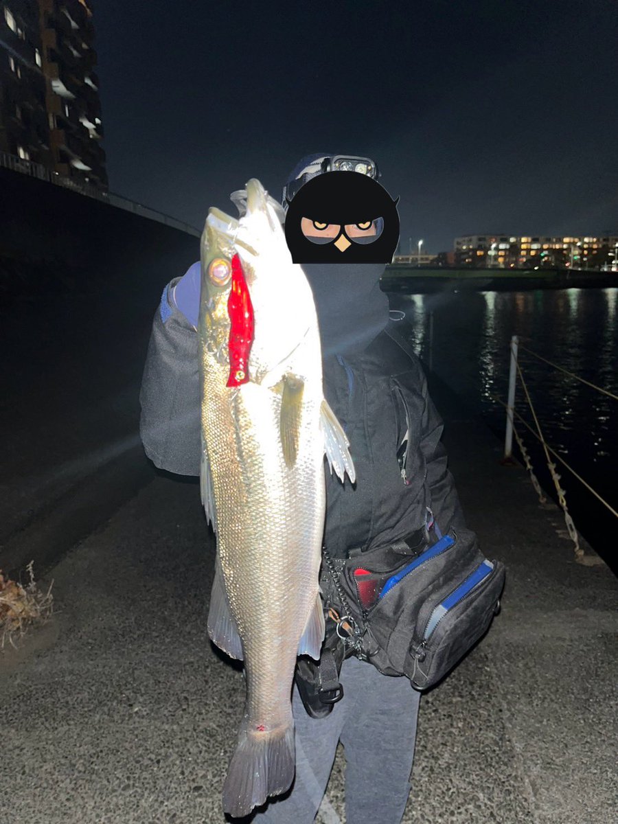 channla_'s tweet photo. 2024/12/25/0:05
シャローでぴちゃぴちゃしてたのでナイトレイドで55センチ

#シーバス
#鶴見川シーバス
#ナイトレイド97f https://t.co/EipY3W8uJ5