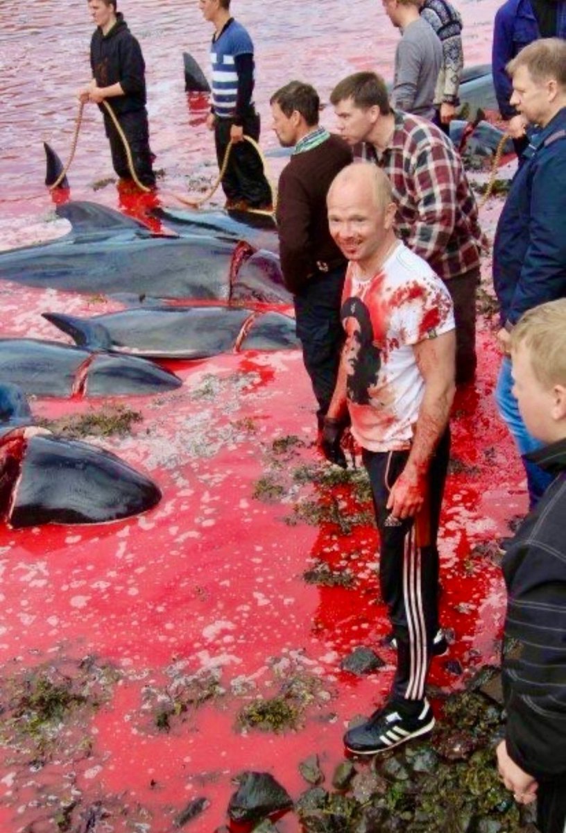 . Fuck you #Denmark #FaroeIslands Mindless, soulless psychopaths. I loathe you. #AnimalAbuse #PilotWhales #Murder #grindadráp