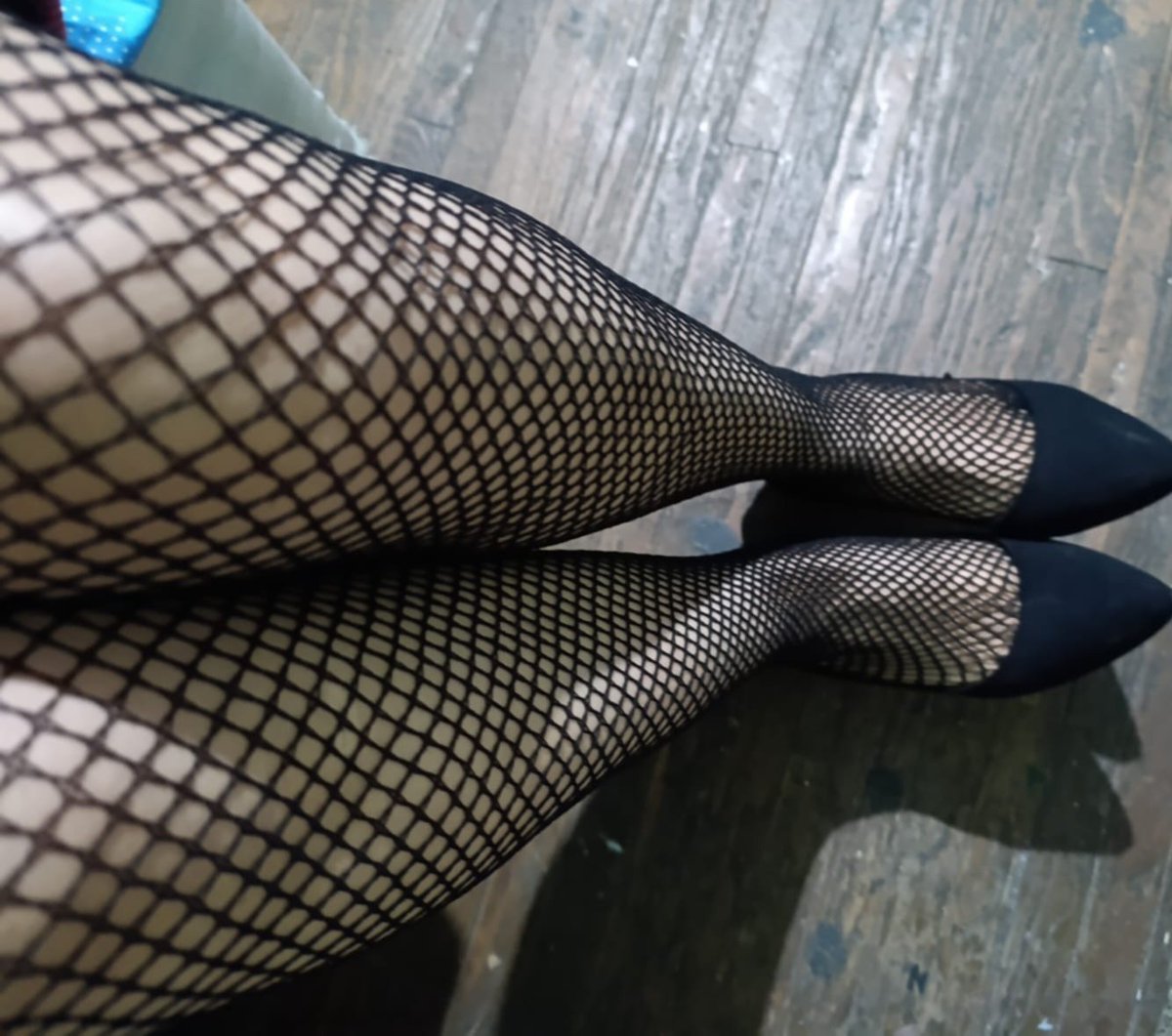 toro apasionado tweet media