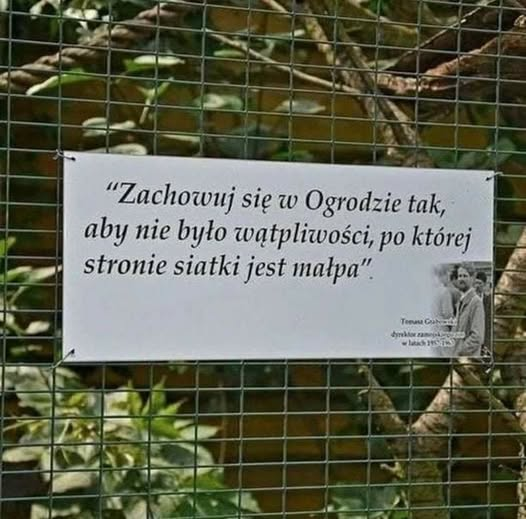 BrunoJasienski's tweet photo. https://t.co/fyV0zhALJB