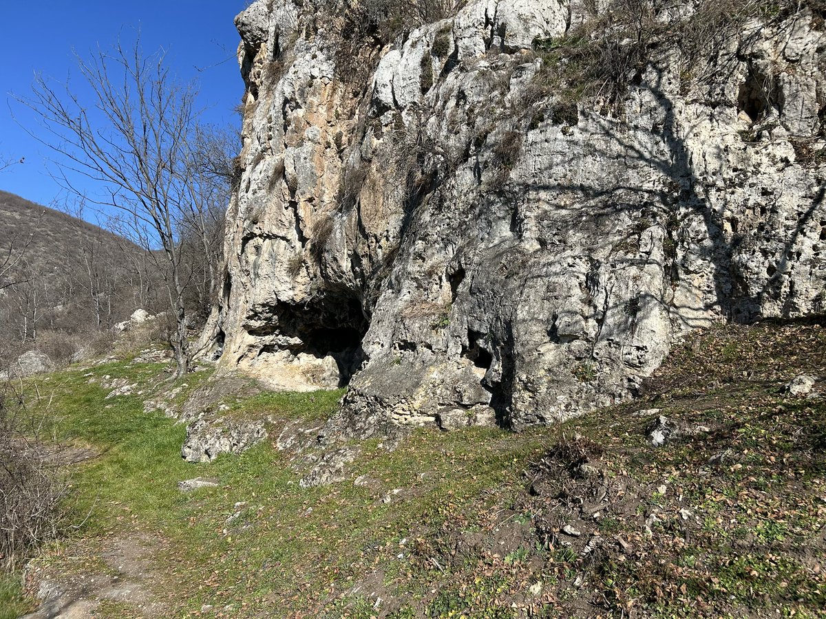 Ejder BABAZADE (@ejdererhun) on Twitter photo Azıx mağarasında, 2024 cü ildən <a href="/leizarchaeology/">Leibniz-Zentrum für Archäologie (LEIZA)</a> insitutunun “Karabakh Paleolithic Project” layihəsi ilə <a href="/TraCErMONREPOS/">Laboratory Traceology and Controlled Experiments</a> rəhbəri <a href="/jmmarreiros/">João Marreiros</a> birgə beynəlxalq paleolit arxeoloji ekspedisiya aparırıq. #Azerbaijan-#Germany #International #archaeological #expedition #Azykh Azıx mağarasında, 2024 cü ildən <a href="/leizarchaeology/">Leibniz-Zentrum für Archäologie (LEIZA)</a> insitutunun “Karabakh Paleolithic Project” layihəsi ilə <a href="/TraCErMONREPOS/">Laboratory Traceology and Controlled Experiments</a> rəhbəri <a href="/jmmarreiros/">João Marreiros</a> birgə beynəlxalq paleolit arxeoloji ekspedisiya aparırıq. #Azerbaijan-#Germany #International #archaeological #expedition #Azykh