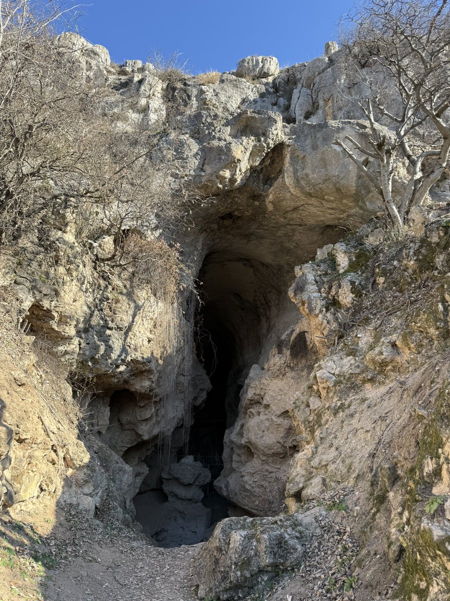 ejdererhun's tweet photo. Azıx mağarasında, 2024 cü ildən @leizarchaeology insitutunun “Karabakh Paleolithic Project” layihəsi ilə @TraCErMONREPOS rəhbəri @jmmarreiros birgə beynəlxalq paleolit arxeoloji ekspedisiya aparırıq. #Azerbaijan-#Germany #International #archaeological #expedition #Azykh https://t.co/cpp5cmD5Ag