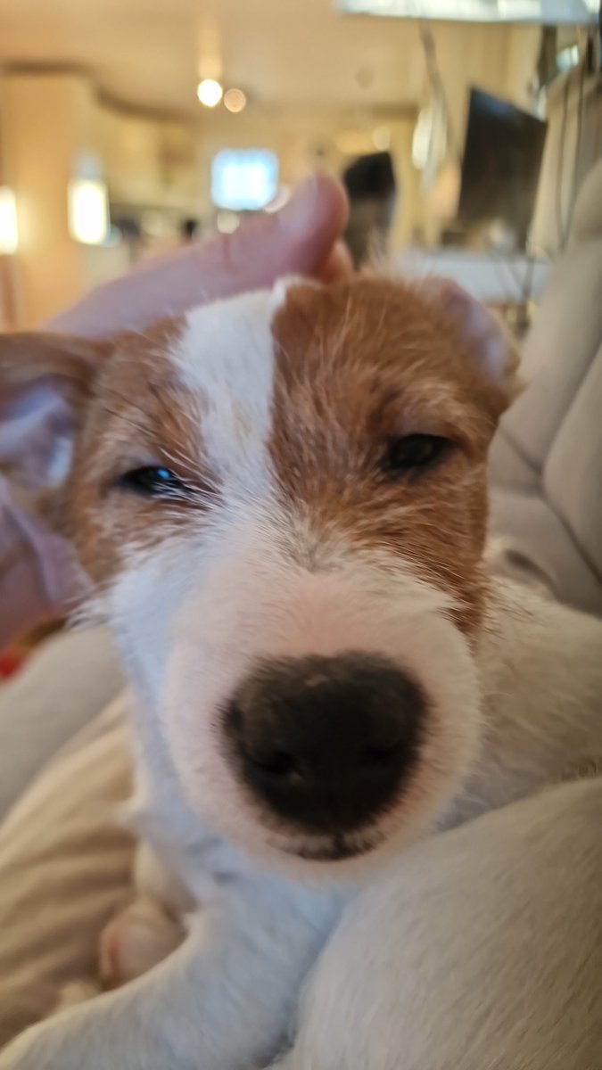 kenerik's tweet photo. Not fully awake yet, but GM #Cardano https://t.co/caWlwPfXaG